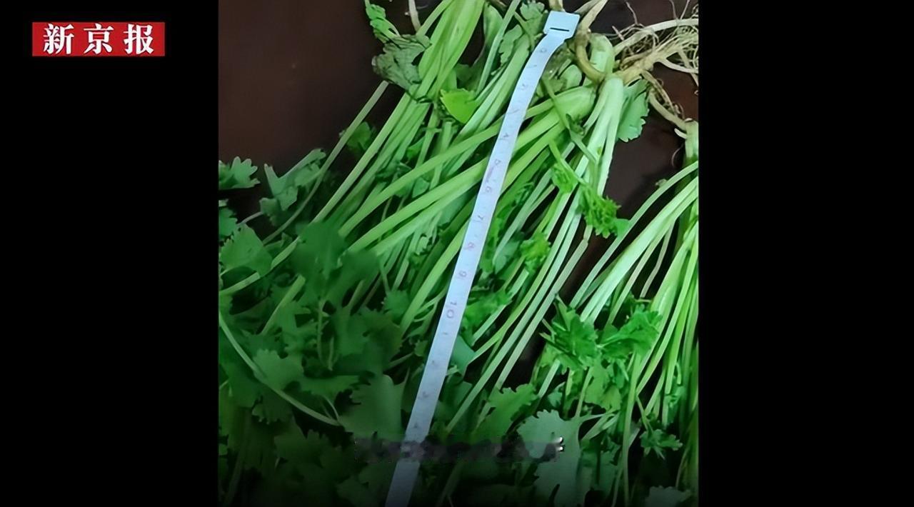 徐州商家朱先生，为了8.9元的香菜钱，不惜驱车千余里，花费千余元，从上海买家手里