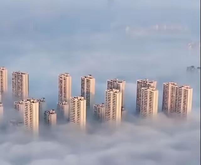 【国际观察】德国网友