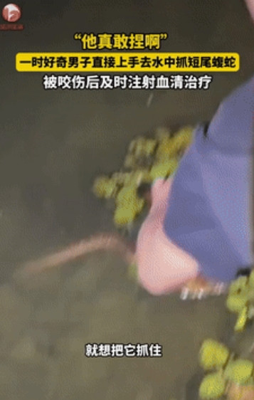 “自作自受！”江苏南京，一男子晚上和朋友在河边溜达，突然发现水里有条蛇，脑子一热