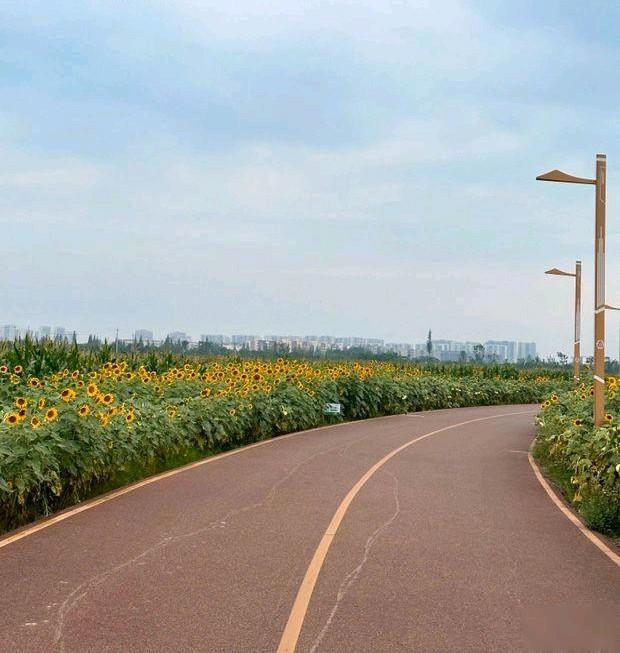 真正的福，从不是房多钱多，而是这“三少三无”真正的福气，