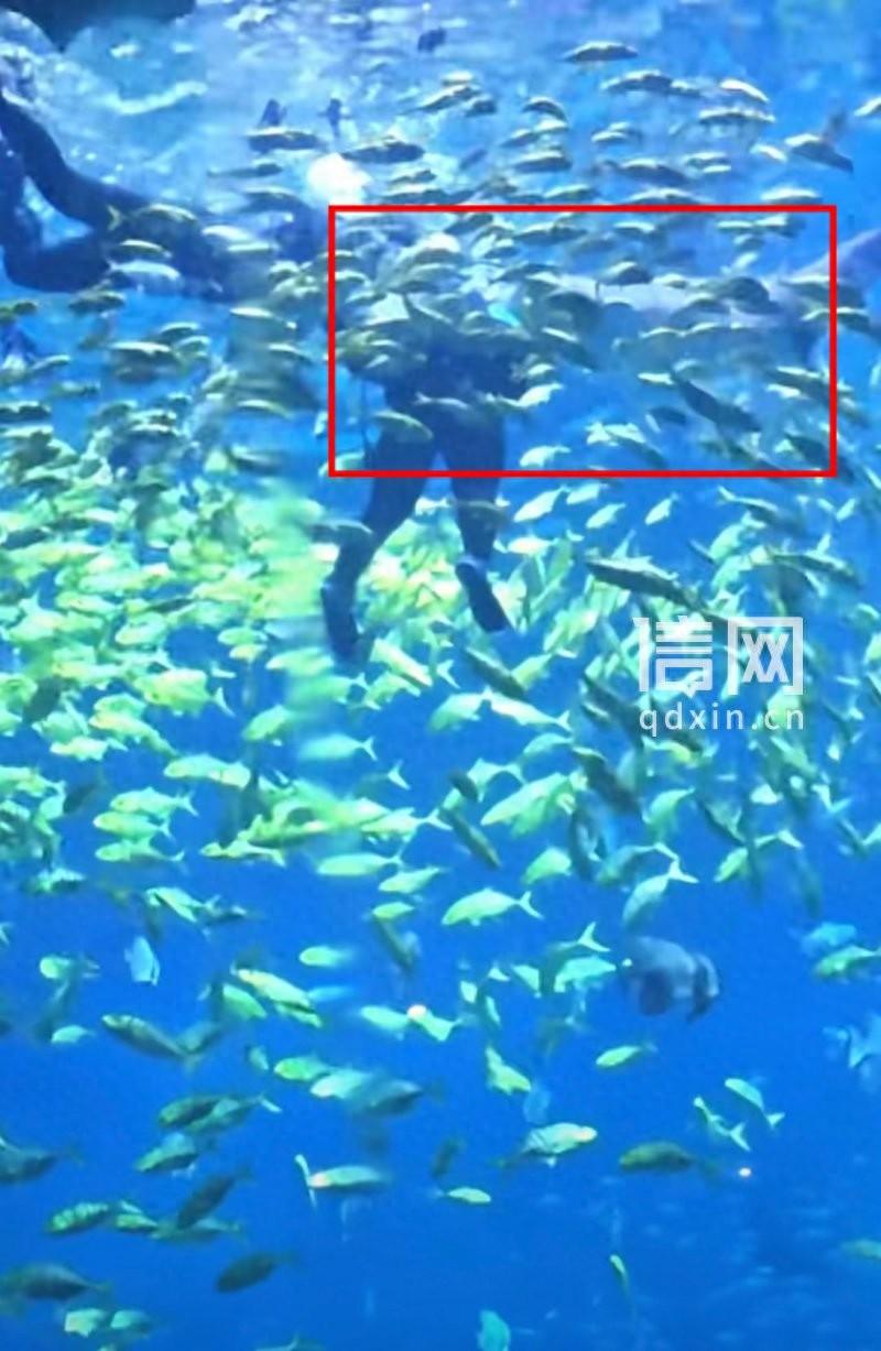 湖南长沙，男子带着家人去海洋王国游玩，工作人员推荐一款水下潜水体验项目，说非常安