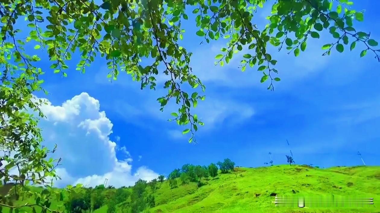 当你遇到一个消耗你能量的人，但你又不得不面对他的时候，我告诉你一个小方法。