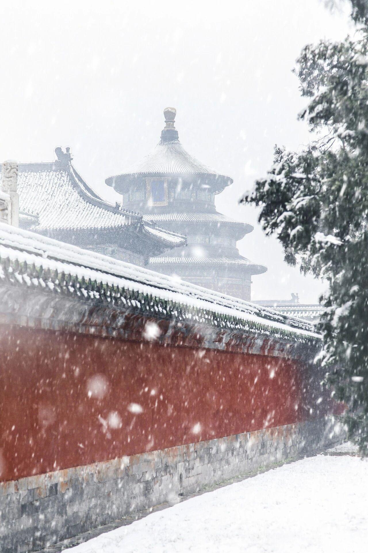 故宫初雪刷屏，北方人的快乐又回来了！对于北京来说，这是一场期盼已久的雪。这场