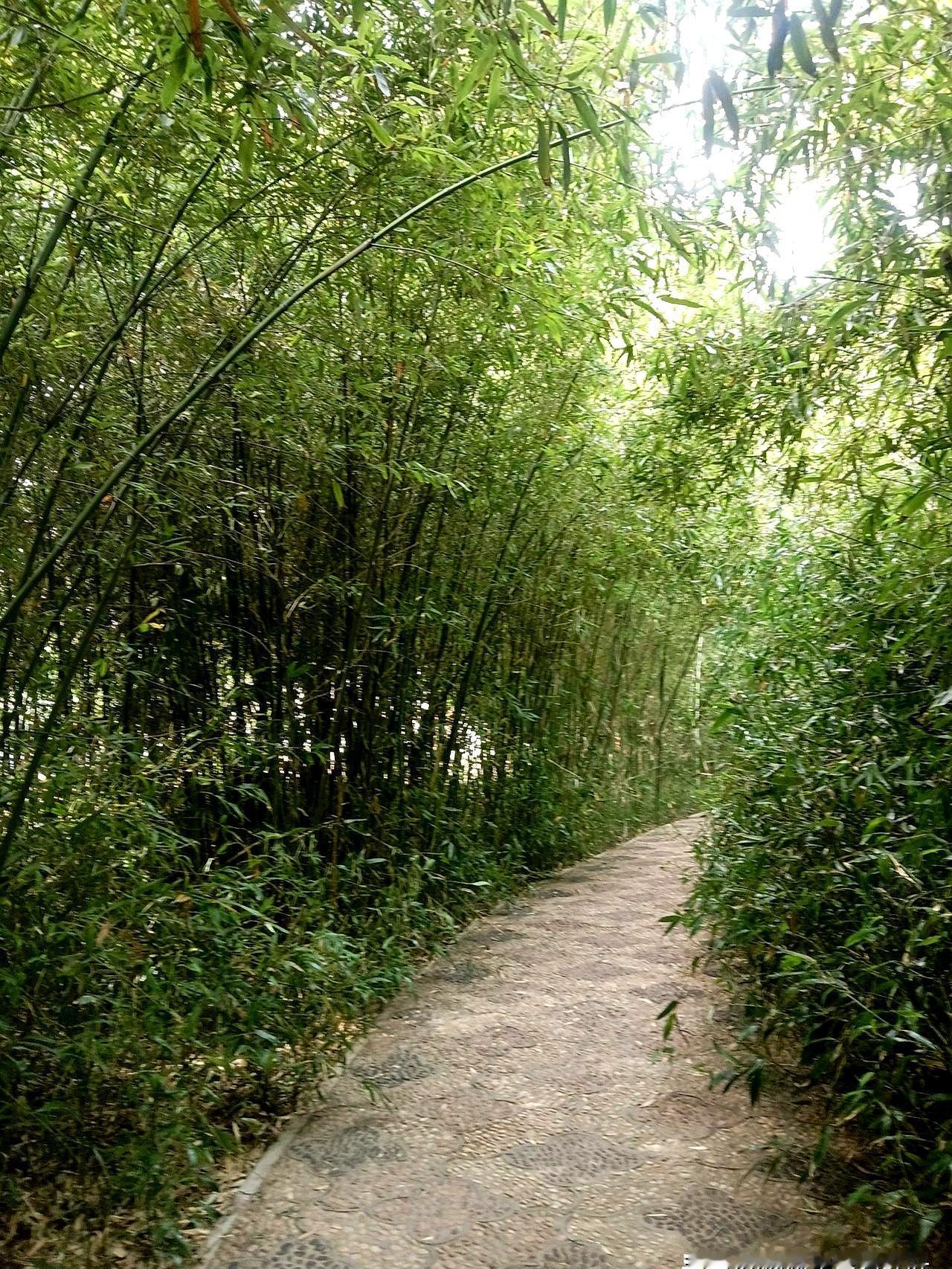 100万存款就敢半躺平？我和老公40岁上下，没房贷车贷，他月入7000我顾家，