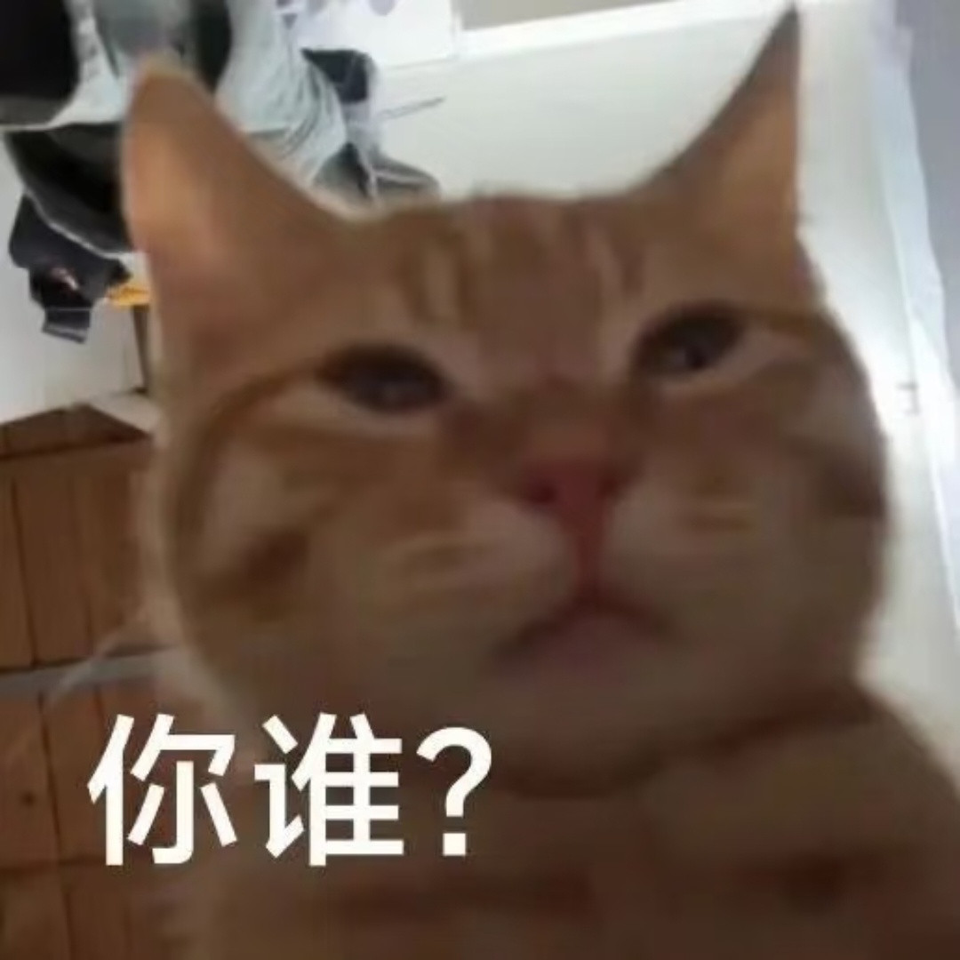 猫咪表情包
