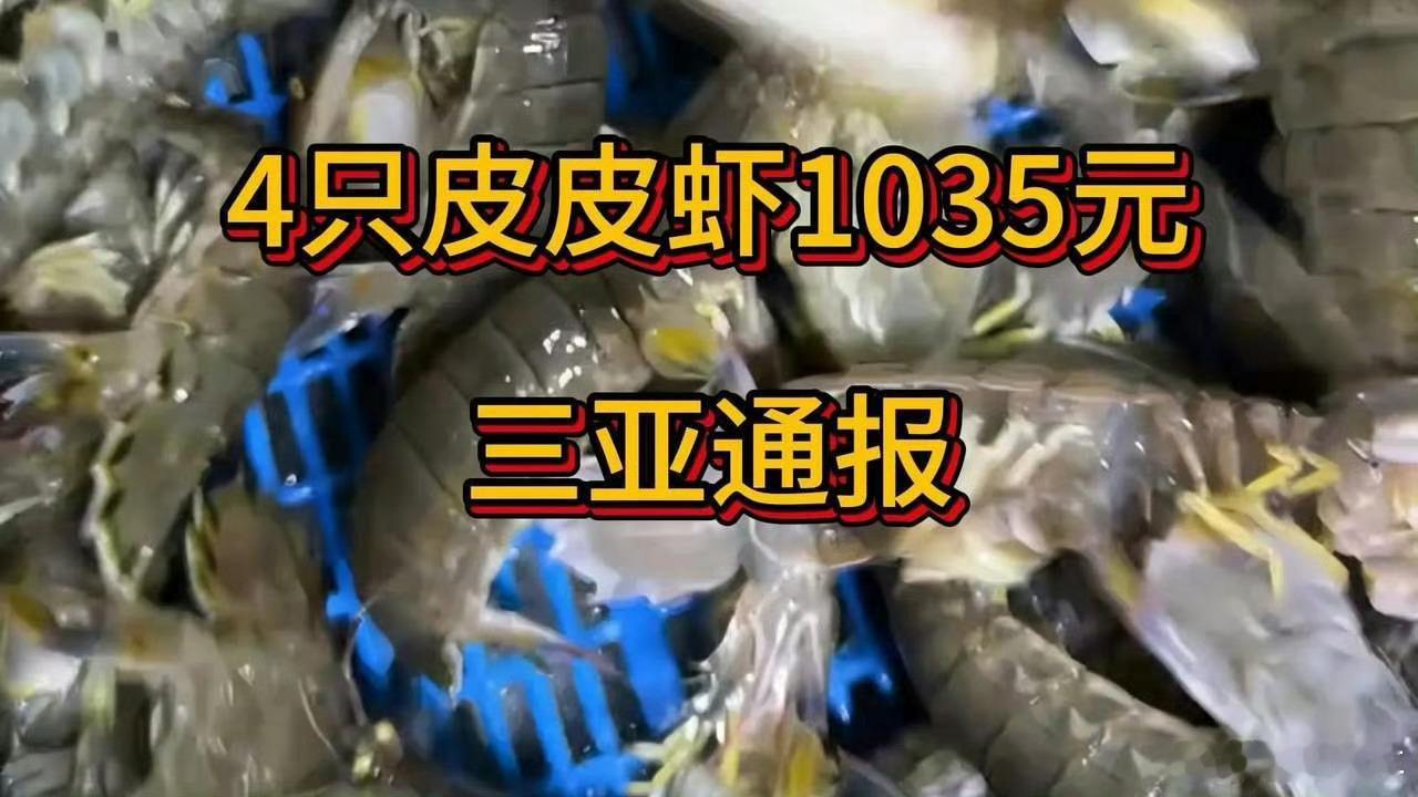 市监局称4只皮皮虾1035元价格合规我去，我没有买过皮皮虾，这东西这么贵吗？？？