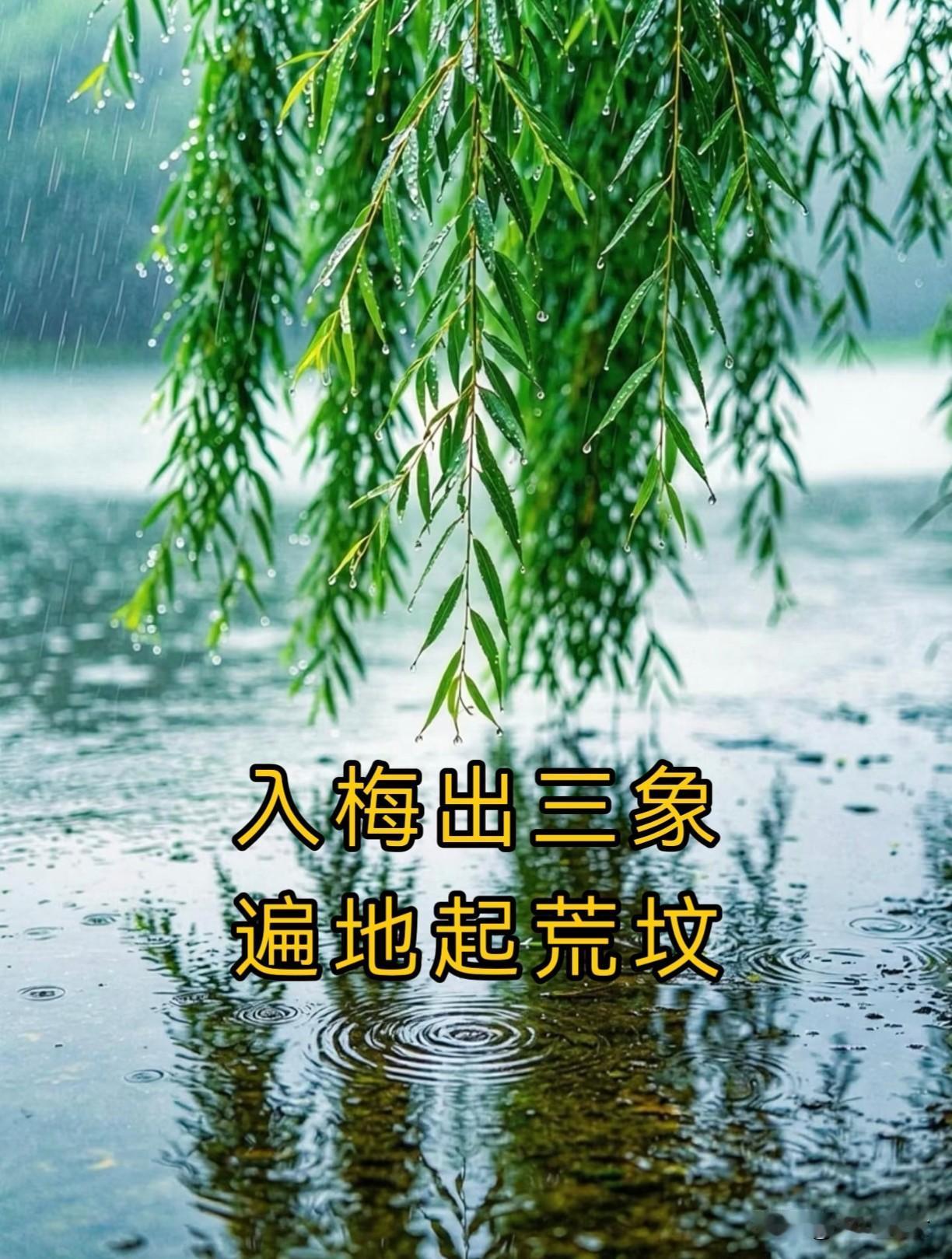 “入梅出三象，遍地起坟头”，今日入梅，指哪三象？有啥说法？时值初夏，长江中