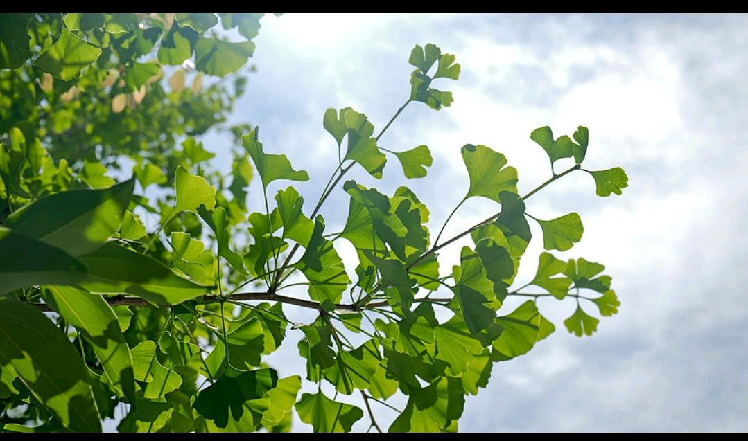 真的挺累的。离婚一个人带孩子八年，前夫从来没给过一分钱生活费。这些年，我一边上