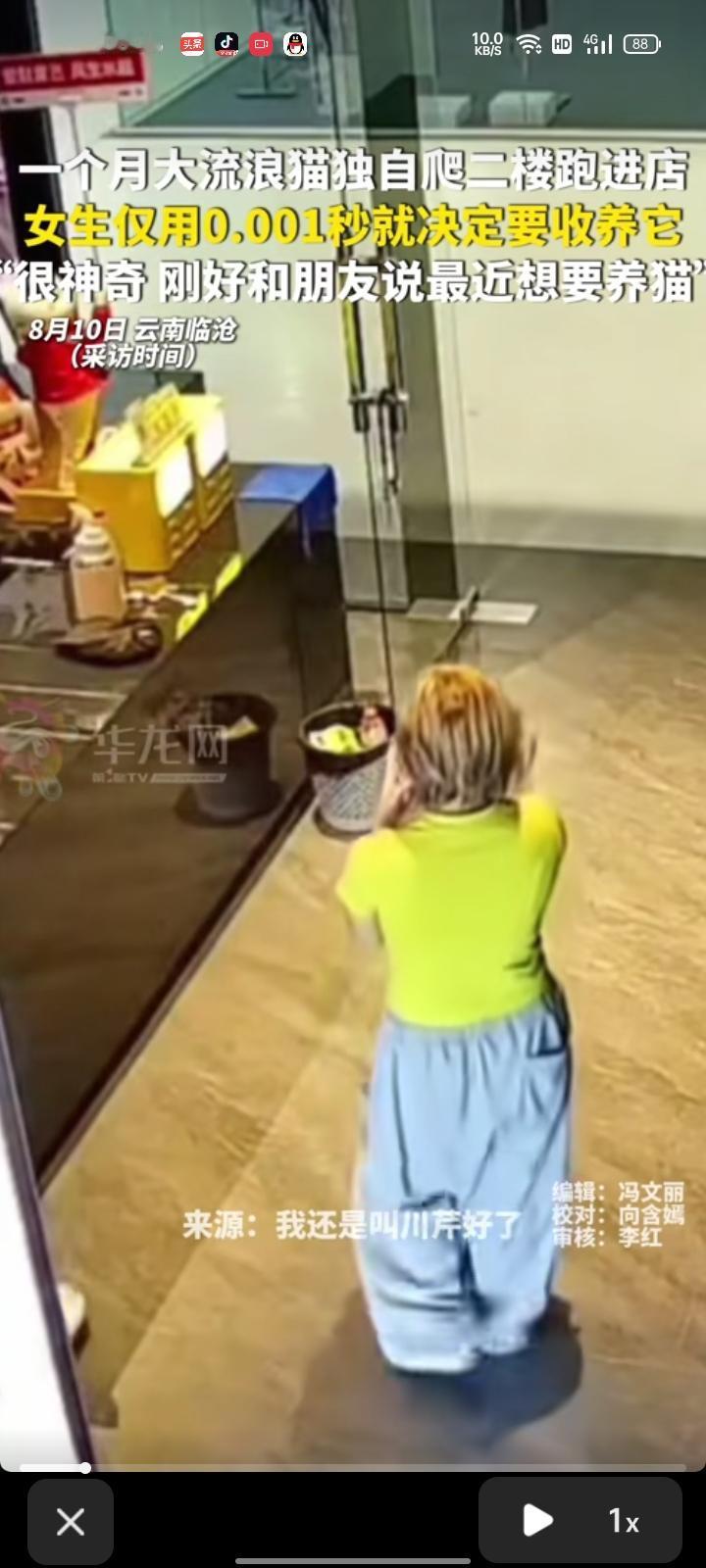 8月6日，云南临沧。一个月大的流浪猫独自爬二楼跑进店，女生仅用0.001喵收养它