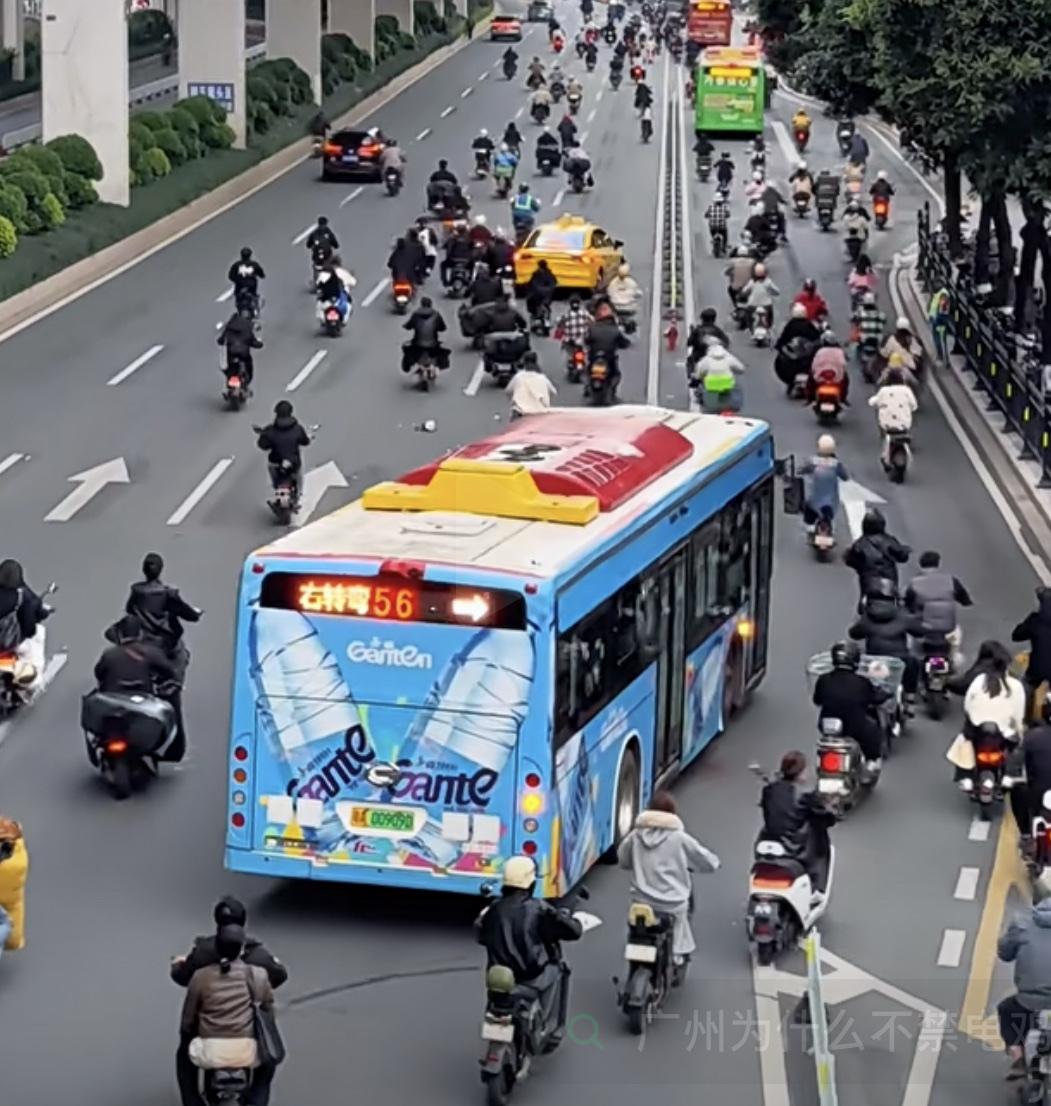 电鸡让人讨厌不是因为多，而是乱！大多骑电鸡的好像就没清醒过，不管路况有多复杂，绿