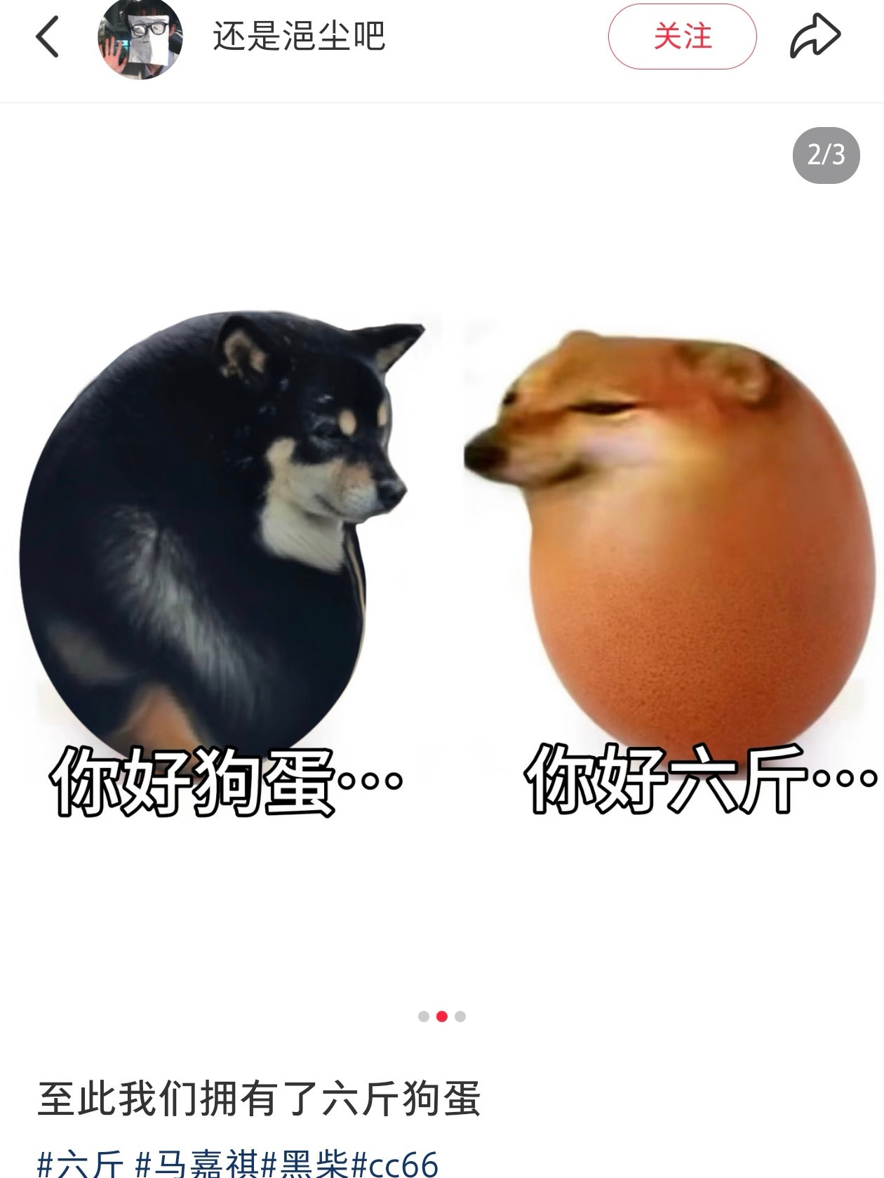 啊啊啊啊啊啊笑的好难受