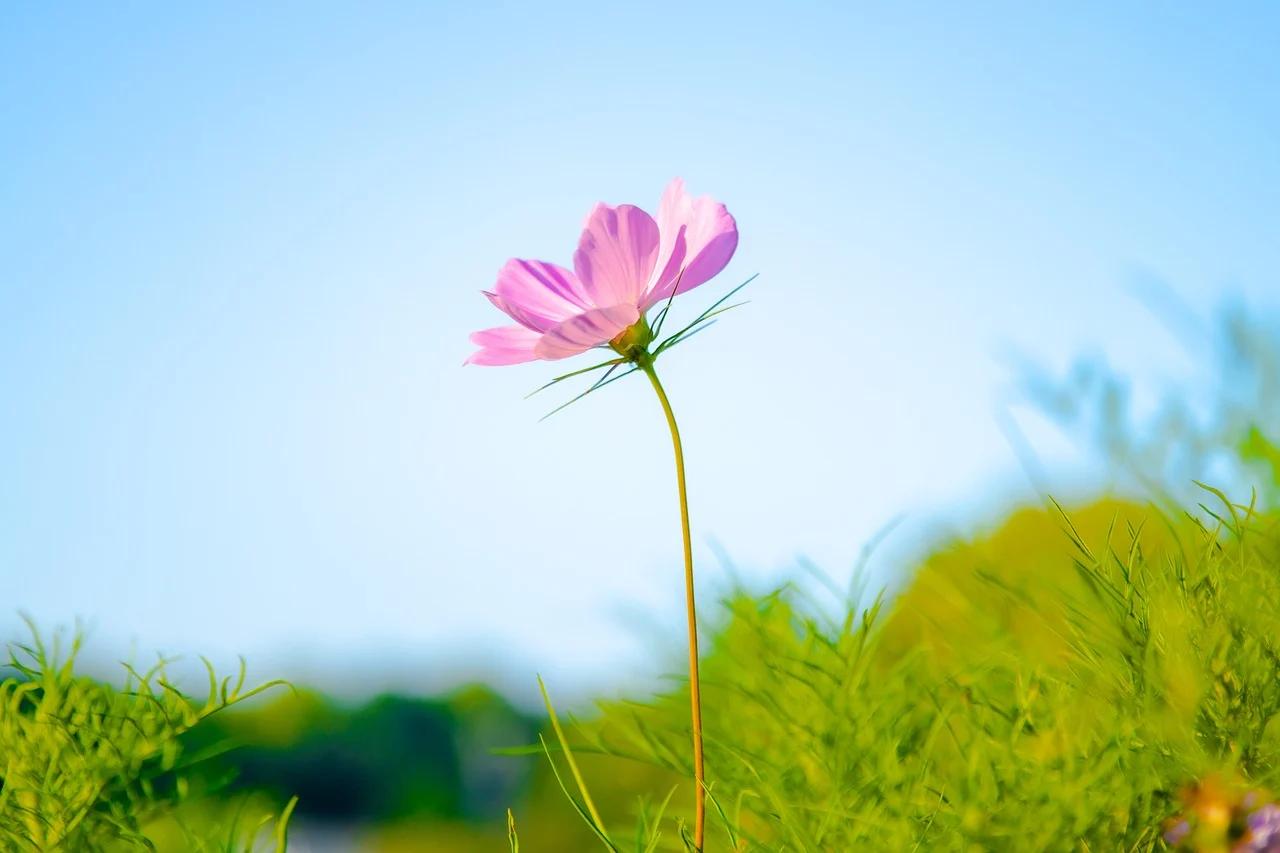 婆婆住院，发现这个世界太小了！我婆婆动了个手术，住院一周多了，老公请假照顾。他