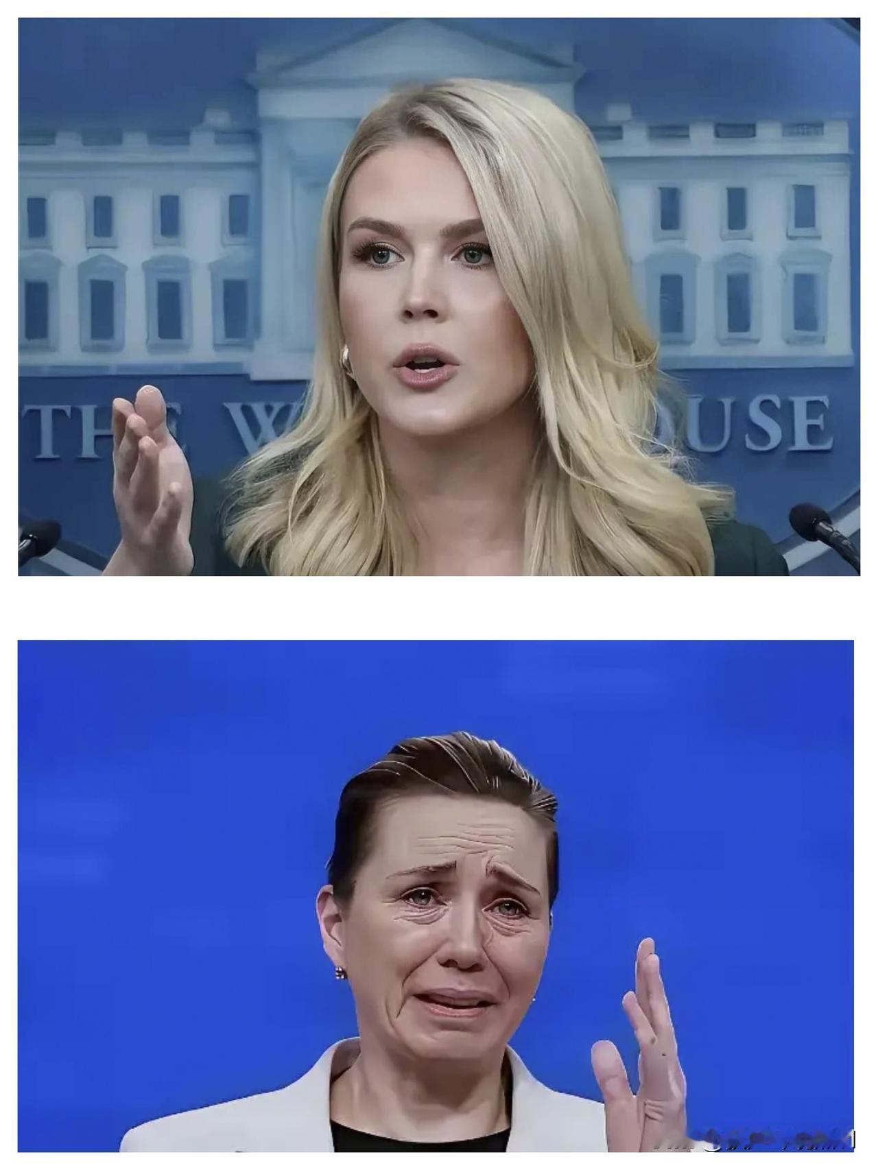 丹麦这一次，又破防了，法国刚派兵到格陵兰岛，随后美国白宫卡罗琳的话又让他们坐不住