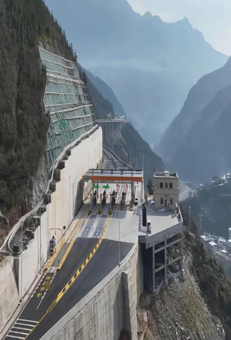 这个收费站应该没人敢逃单