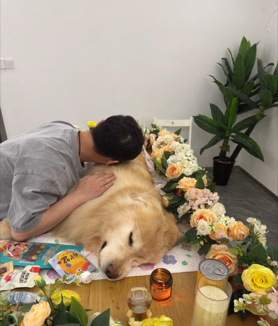 邓莎17岁的狗狗去世球球，谢谢你陪邓莎走过17年17年，是一只小狗完整的一生，也