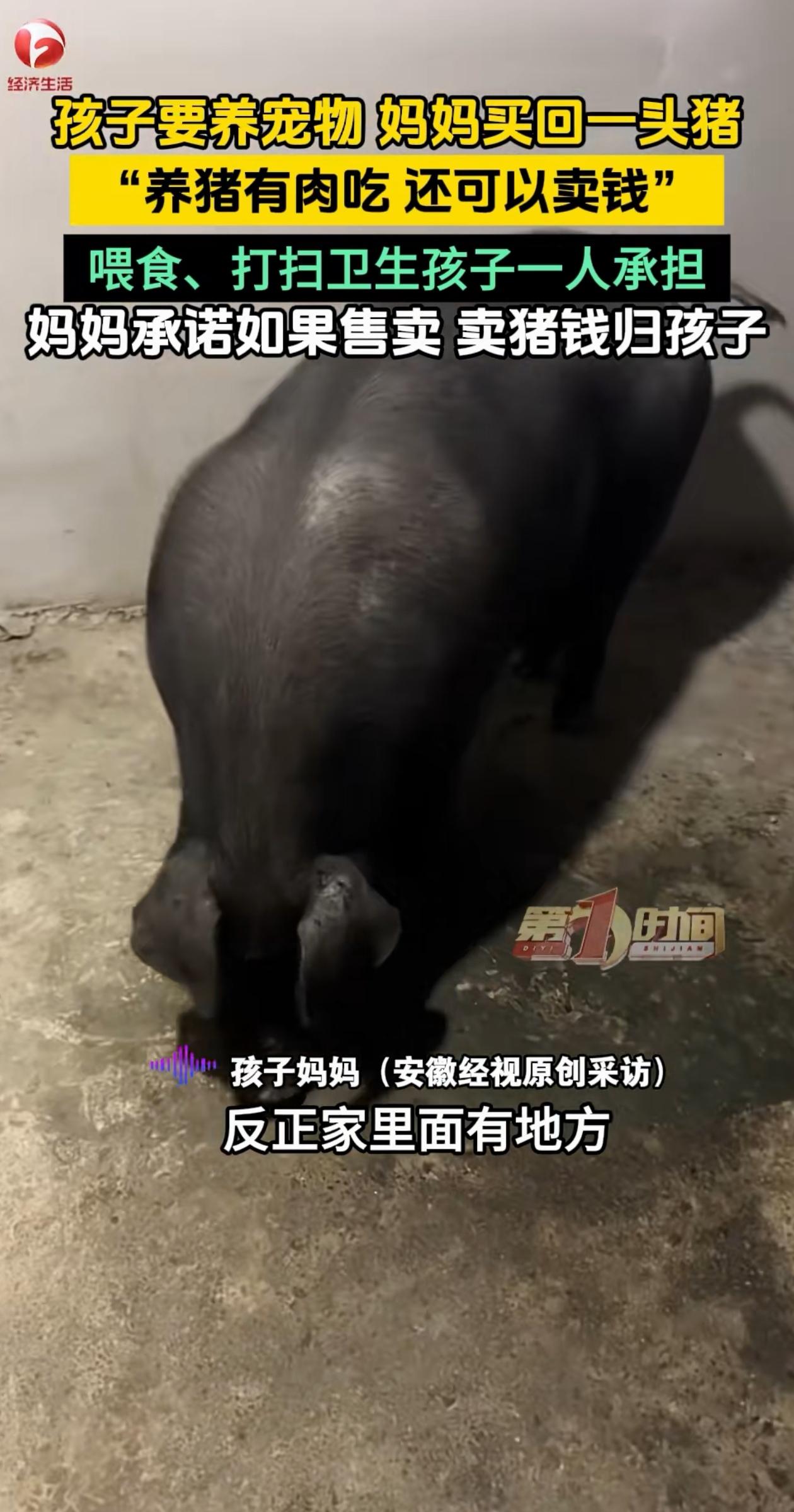 这个想法好！贵州平塘，女儿吵着非要买个宠物，妈妈没办法只能同意，本以为妈妈会买猫