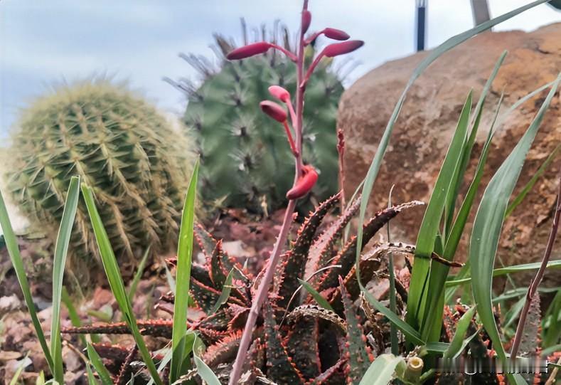 老公被公司开除了，女子深信老公说的，他是被两个女同事嫉妒联合陷害遭开除的。这样的