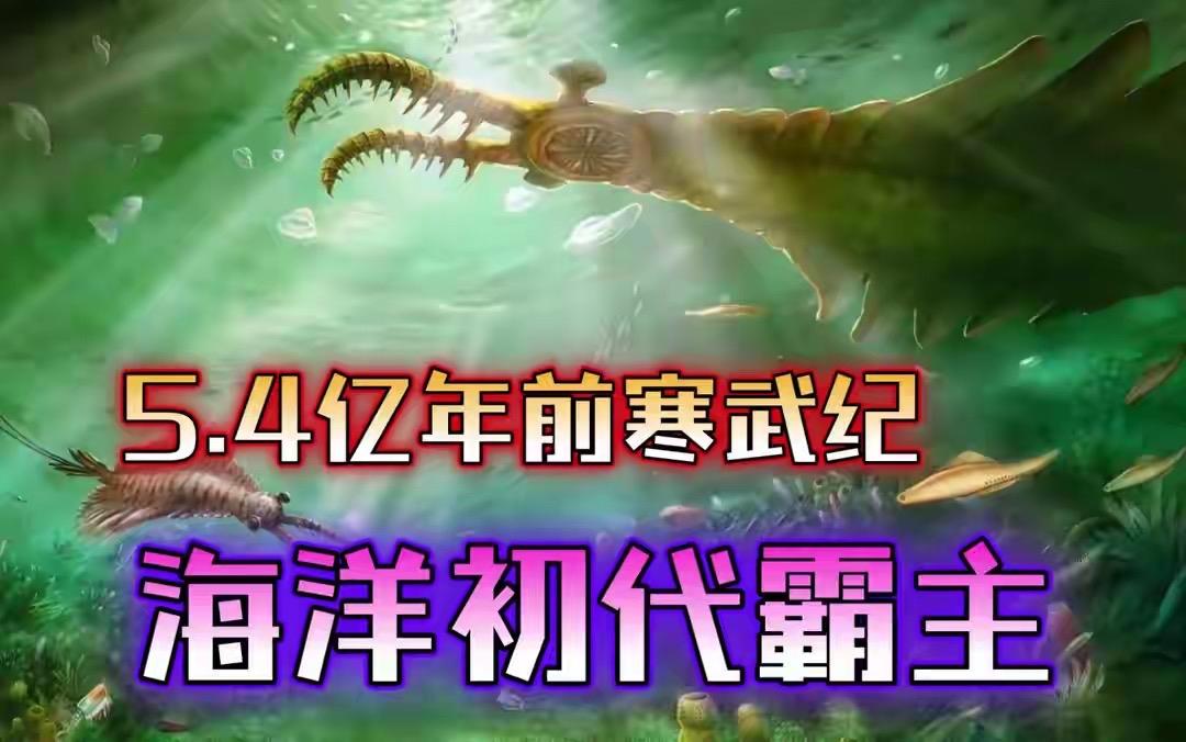 5亿年前的“死亡海洋”一夜回春！寒武纪大爆发真相藏在地质书页里。此前海洋生命寥
