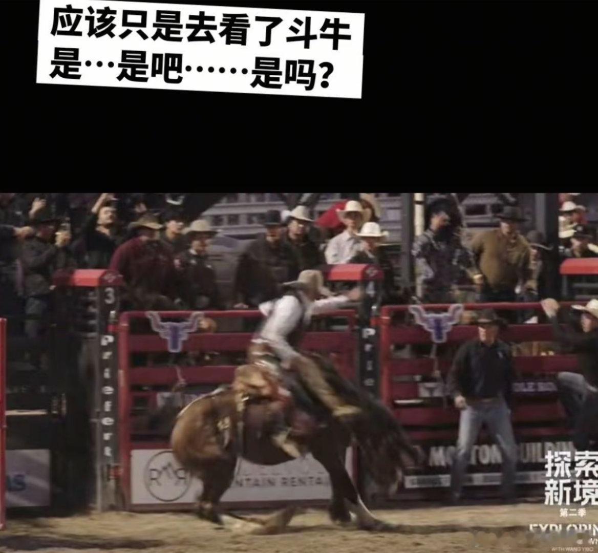 卧槽才发现王一博居然还去看了斗牛