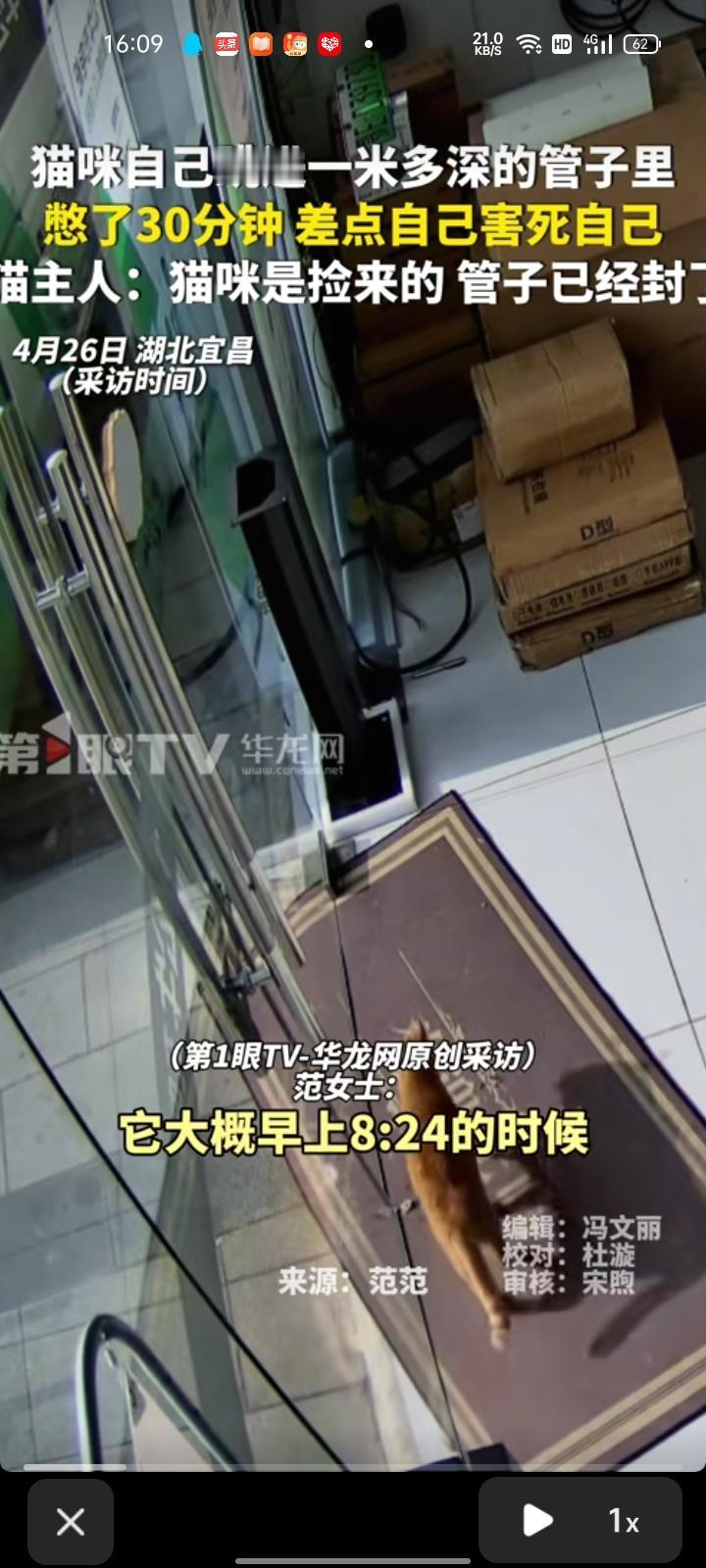 4月25日，湖北宜昌。女子发视频称，大概早上八点，猫咪跳进一米多深的管子里出不来