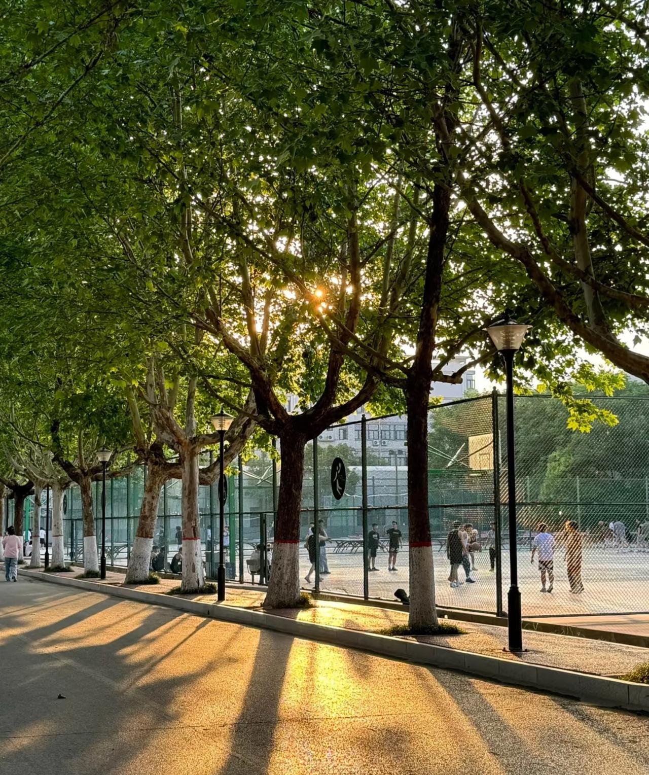 为什么上天赋予我爱笑的性格却又给了我最难过的经历很困，又舍不得睡，总在深夜里