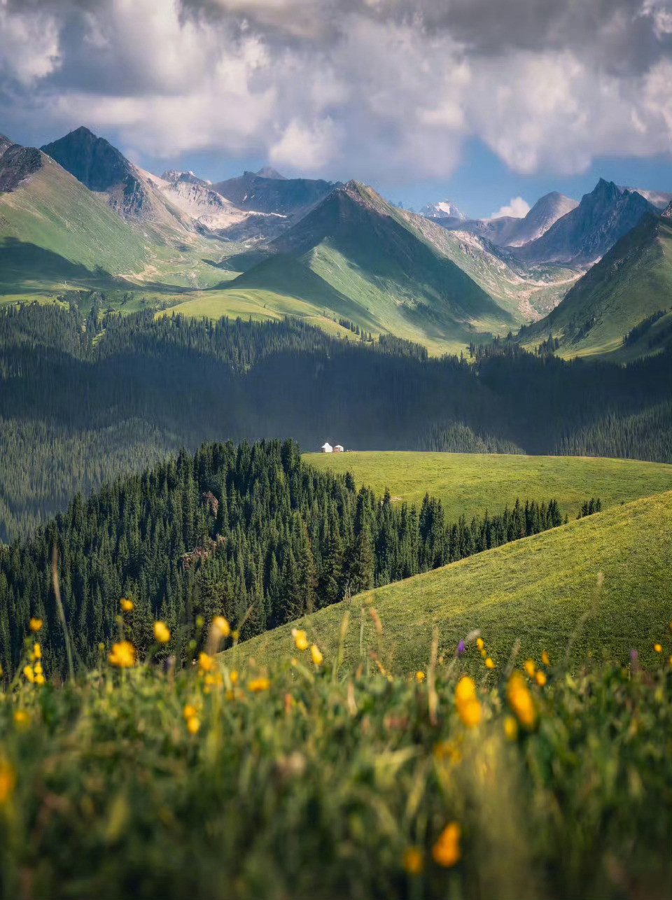 四月之后，期待北疆之夏。