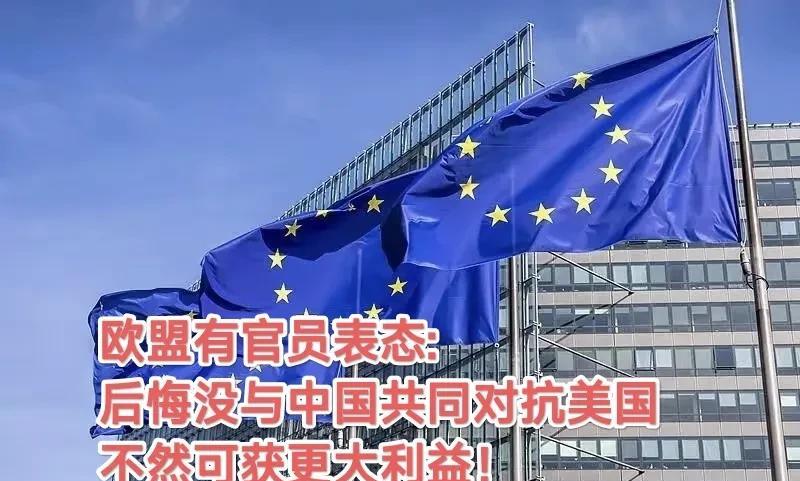欧盟有官员认为：悔不当初早与中国配合反击美国的话，可以获得更大的利益。一切都太