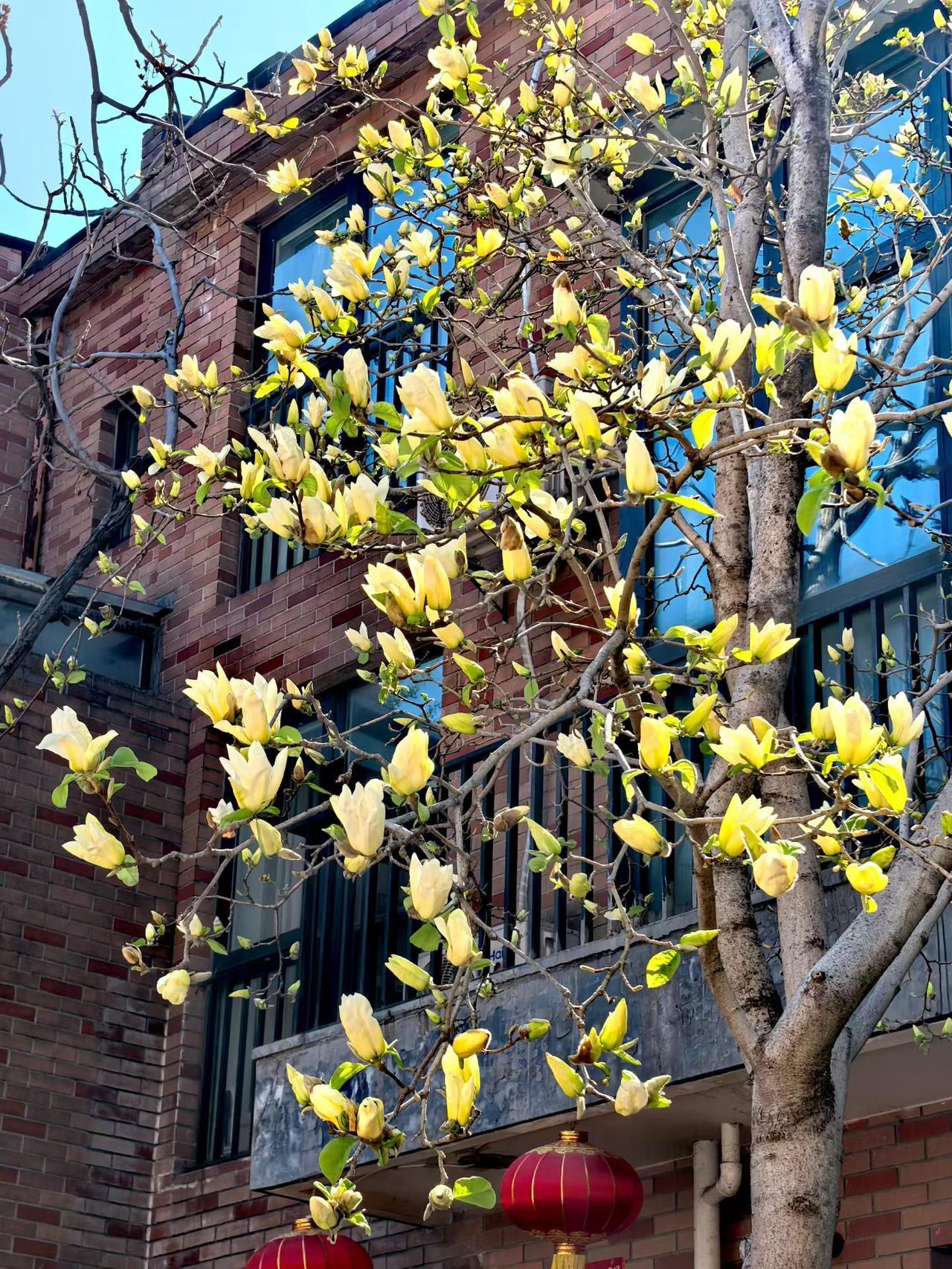 离婚率最低的10个职业，原因在一、教师离婚率8%二、医生离婚率10%三、军