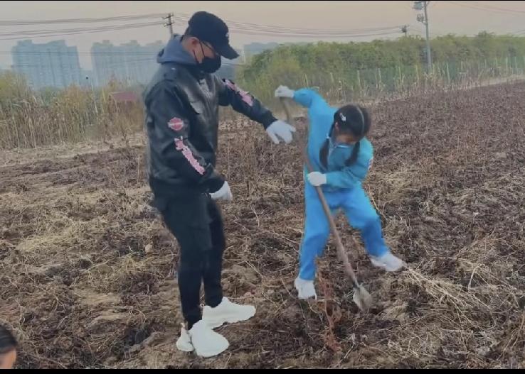 陪爸爸体验田间劳动的醒醒太棒了。汪峰带着女儿小醒醒一起下地刨红薯，父女间的互动