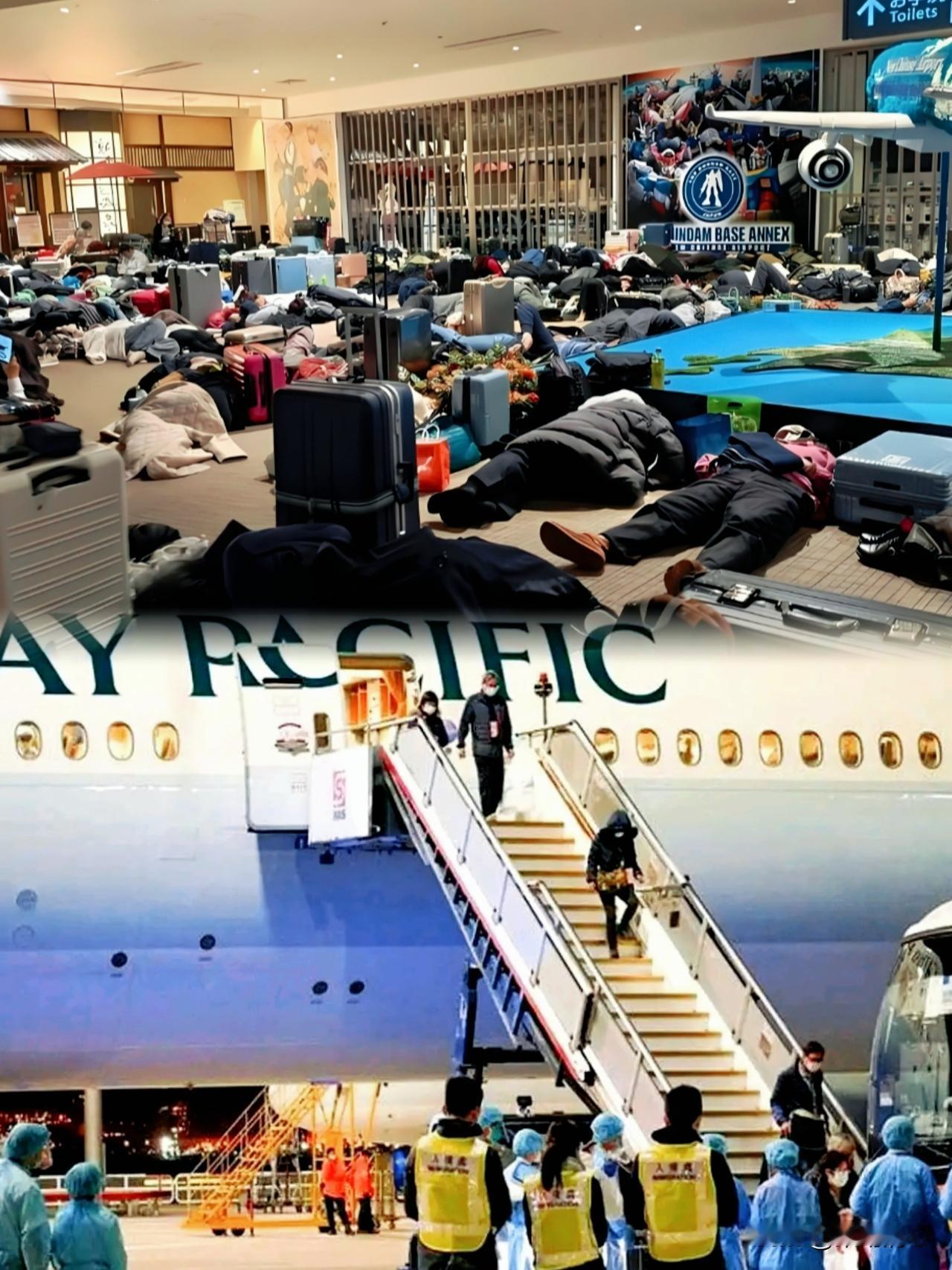 联系大使馆必须派飞机！看视频里那几位在北海道机场大喊大叫的架势，还以为是哪