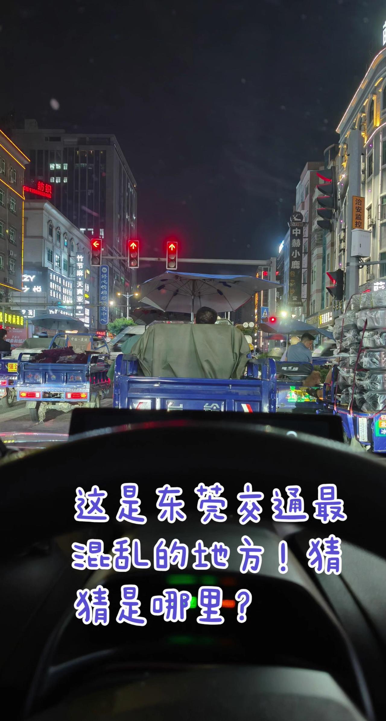 混乱的交通！鸡仔大过主人婆！