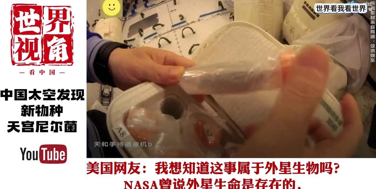 中国空间站发现微生物新物种，取名“天宫尼尔菌”近日，科研人员首次公布在
