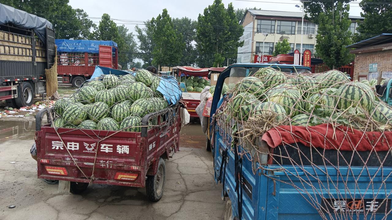 近三天，西瓜连续涨价，一斤0.28元，为什么卖西瓜的越来越少，西瓜代办坐不住了。