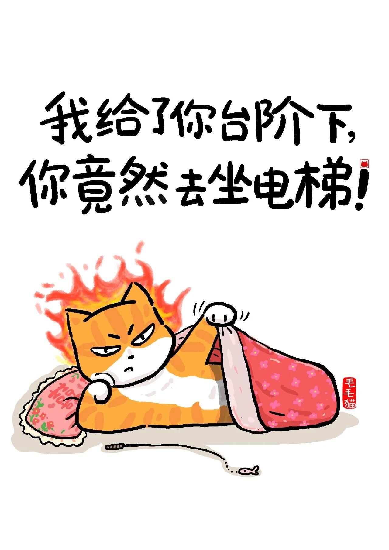 为什么现在结婚率会下降？现在的自媒体、短刷天天放的都是什么导