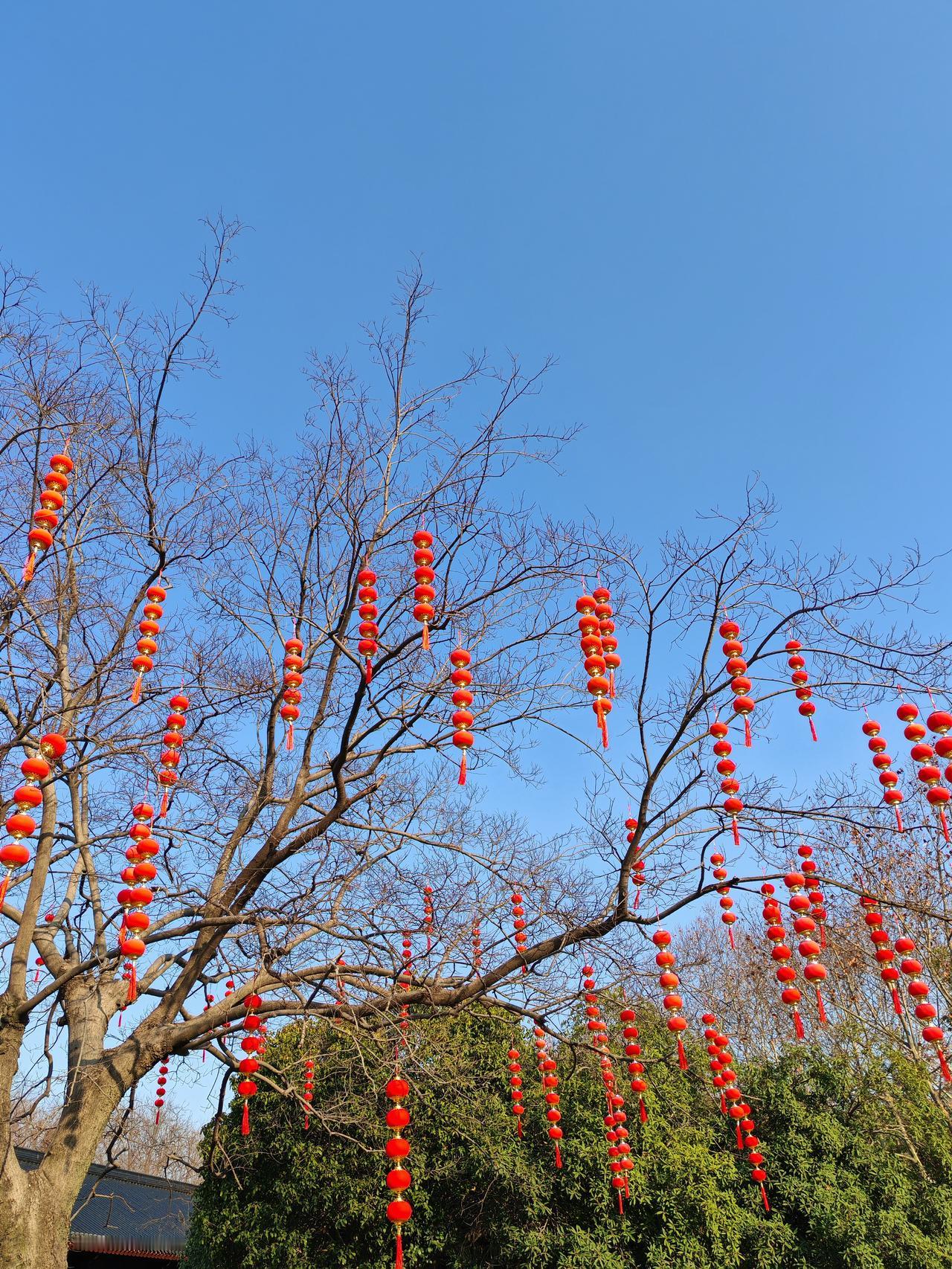 1. 孩子，缘分不是等出来的，得主动争取。遇到顺眼的就大胆搭话、留联系方式，多接