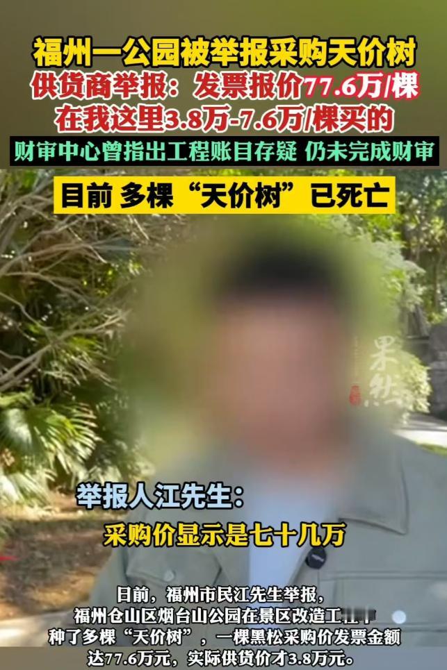 福建一公园采购“天价树”，发票上报价77.6万每棵，实则进价仅3.8万-7.