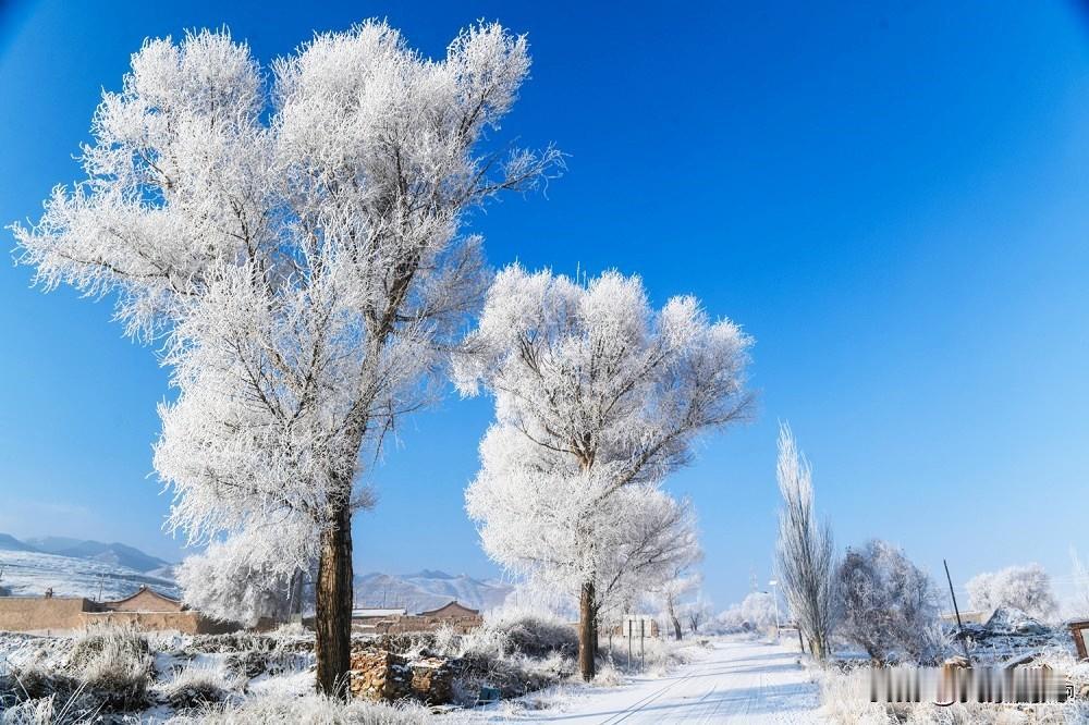 漫山遍野的树木草丛凝结成晶莹剔透的雾凇，与缭绕云雾相映成趣，将村落化作如梦似幻的