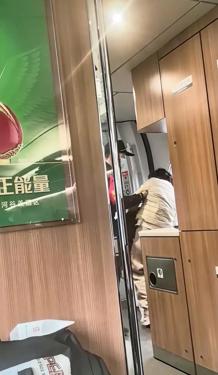 这种事真没法共情，女子坐高铁坐过了站，在车厢里大哭大闹，列车员安抚也不听，坐在地