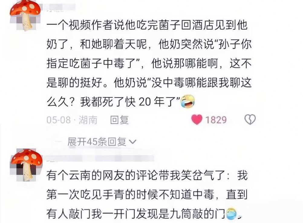 吃完野生菌后我的脑子开始放烟花💥