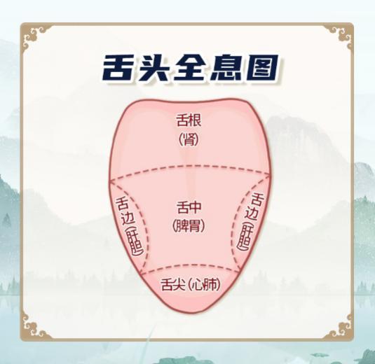 中医厉害之处，首推“望闻问切”，“望”居首位，“望而知之谓之神”。望诊通过外在征