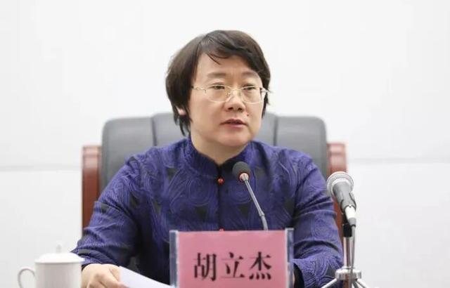 跨省履新江苏省委常委、组织部部长后, 胡立杰被补选为省人大代表