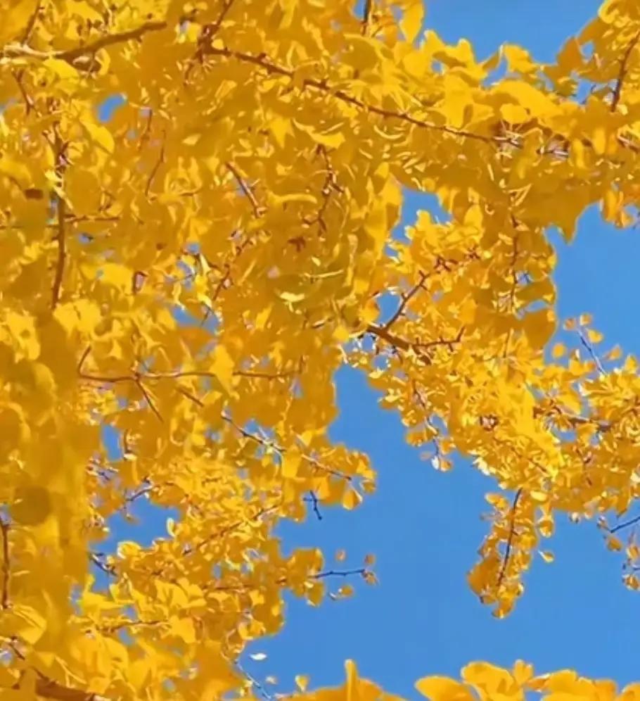 同事刚退休就停掉每月三千的带孙费，让亲家搬出去，说想自己尽爷爷责任。亲家三年里