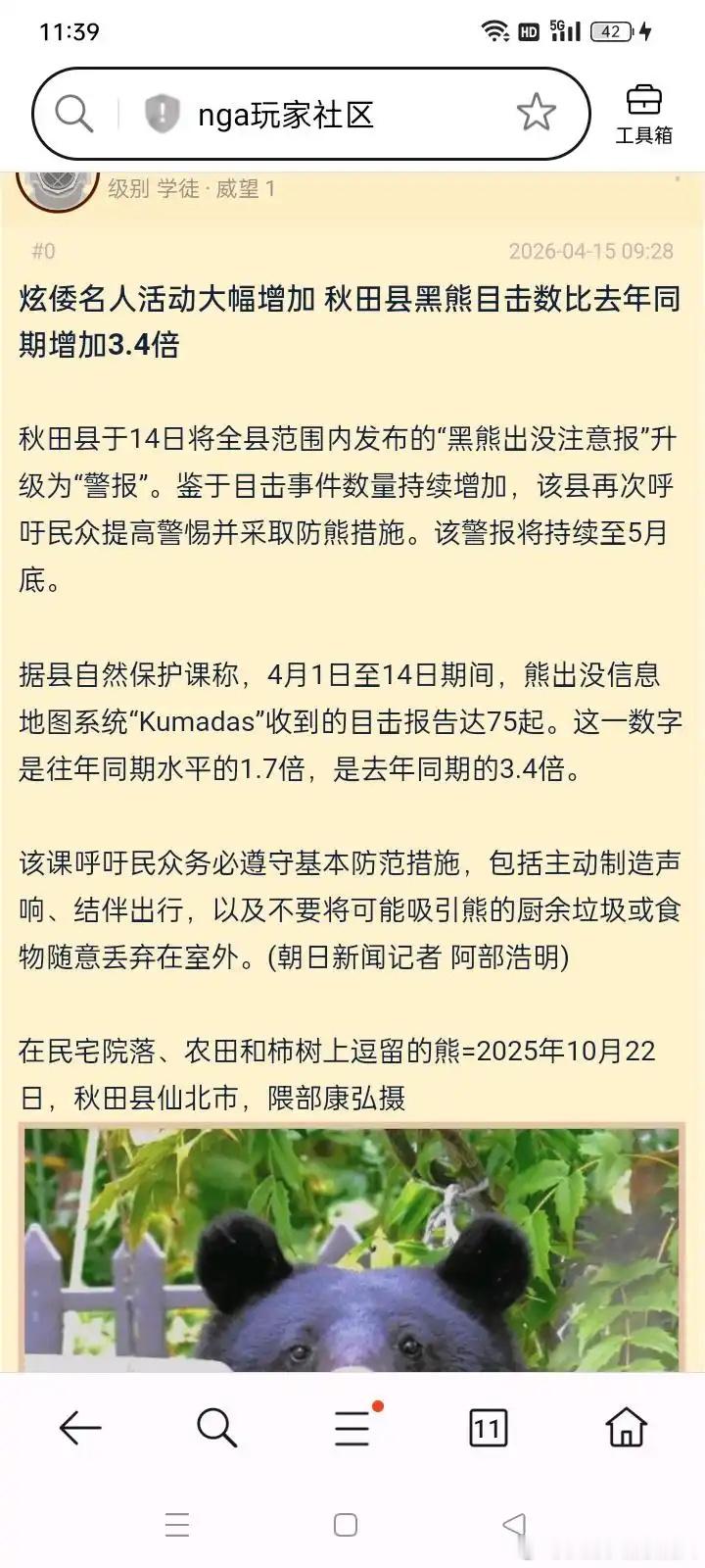 熊冬眠期结束了