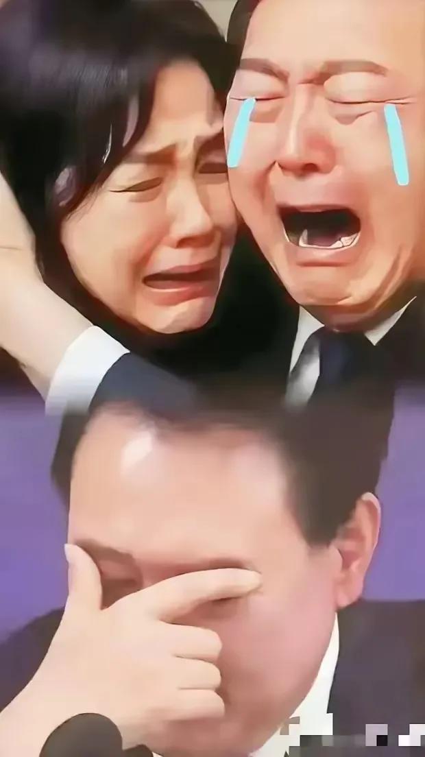 就在刚刚，韩国正式宣布2025年8月29日，韩国特检组扔出重磅炸弹，正式起诉前第