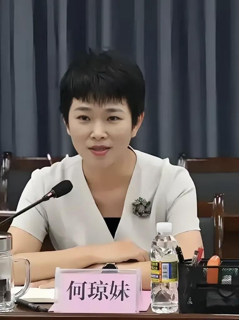 眼看他起高楼，眼看他宴宾朋，眼看他楼塌了。海南省农业农村厅厅长何琼妹的人生何尝