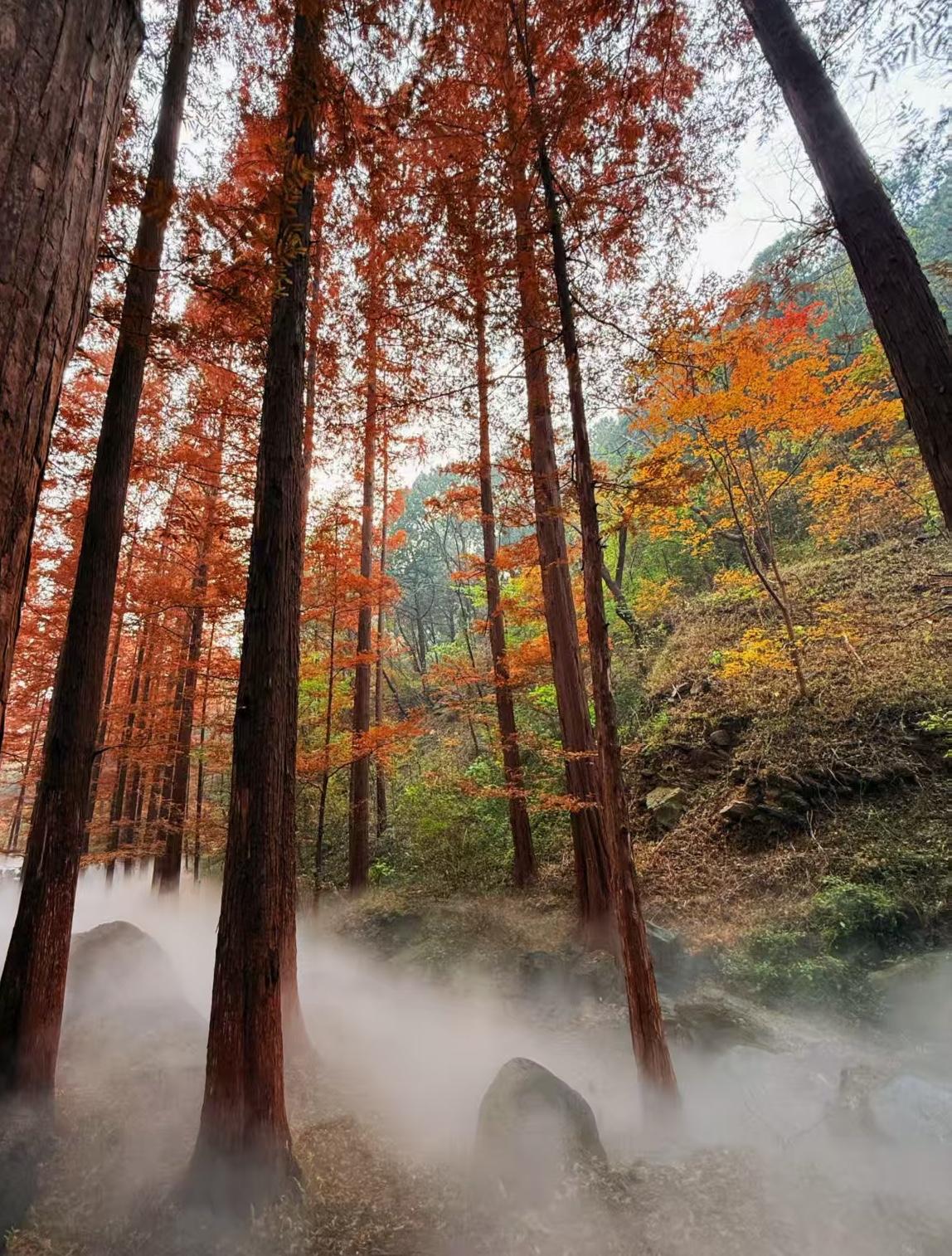 这件事我说出来，肯定会有很多人以为我是编造的，但其实是真的，也算一个传奇人物。