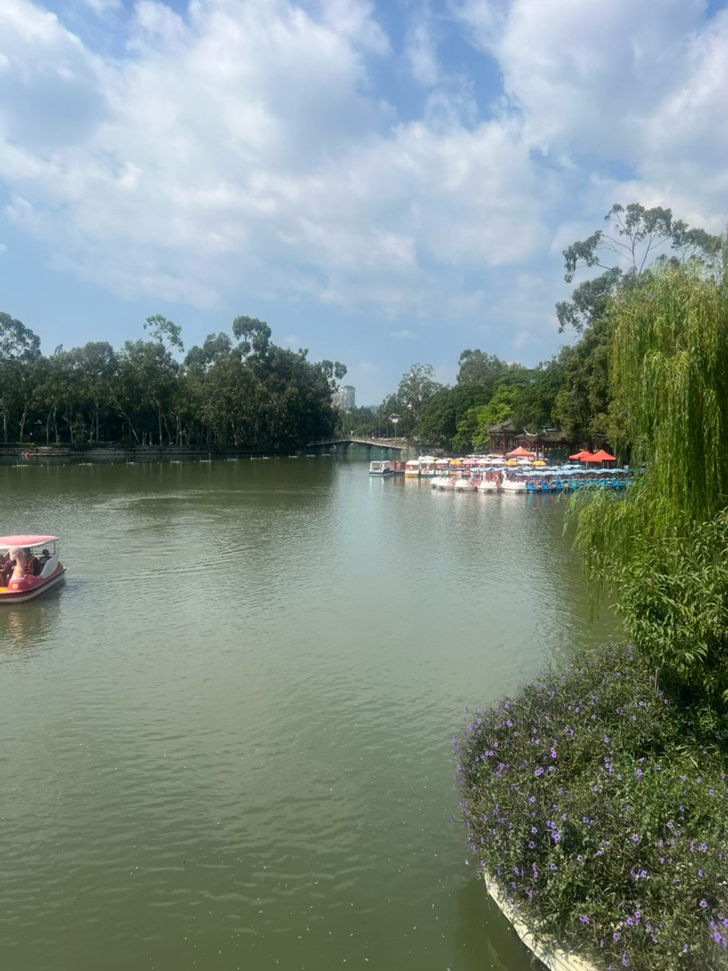 儿时春游的西湖，时隔多年再游西湖，一样的风景，不一样的心境。十一接力打卡十一出片