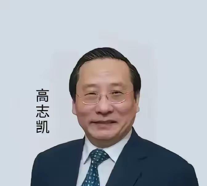 刷完高志凯上澳洲访谈节目的那段回击，掏心窝，简直让人彻底清醒了。那个澳洲名嘴