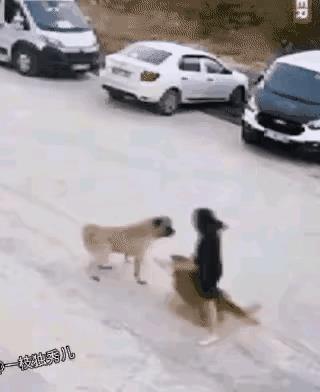 “为母则刚”，这是赞美女人为了自己的孩子可以让自己变得非常强大。女人的这种天性