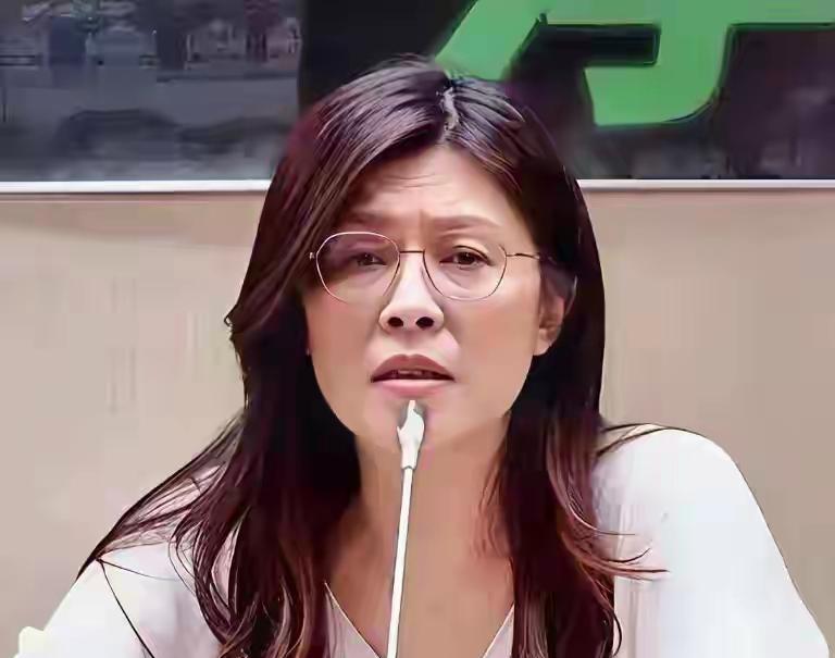 郑丽文:你承认是中国人,我们敬你1分。你反对台独,我们敬你2分。你承认九二共识,